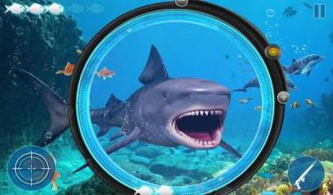 Hungry Shark Attack: Deep Sea Shark Hunting Games截图5