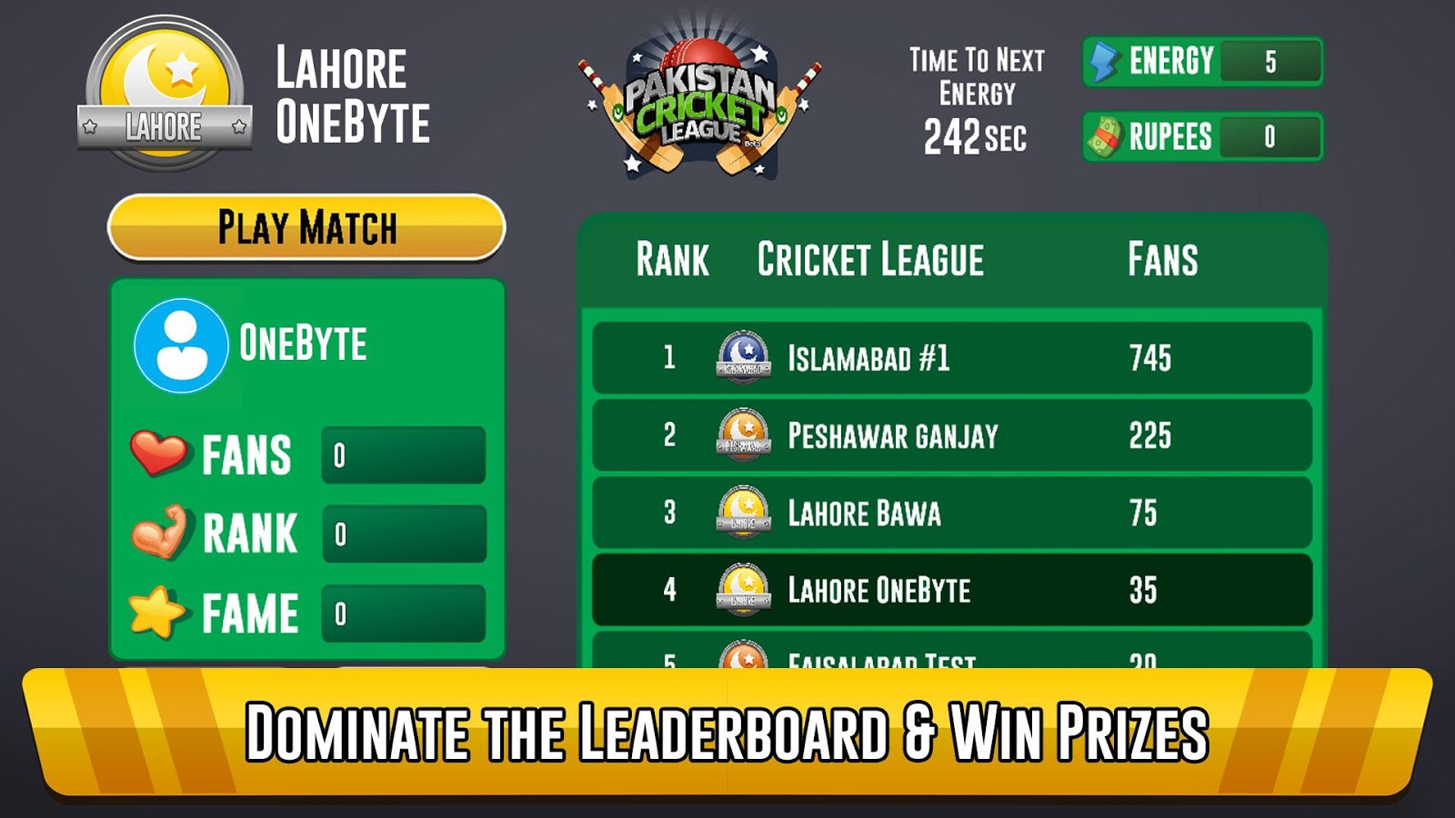 Pakistan Cricket League截图5