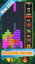 Terris Block Puzzle Classic截图1