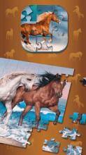 Horse Puzzle – Photo Jigsaw截图4