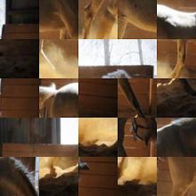 Horse Puzzle Jigsaw Game截图2