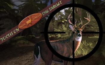 Safari Survival Deer Hunter Sniper Game 2017 Free截图1