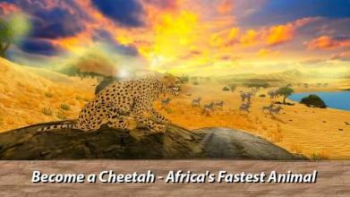 African Wild Life: Cheetah Survival截图4