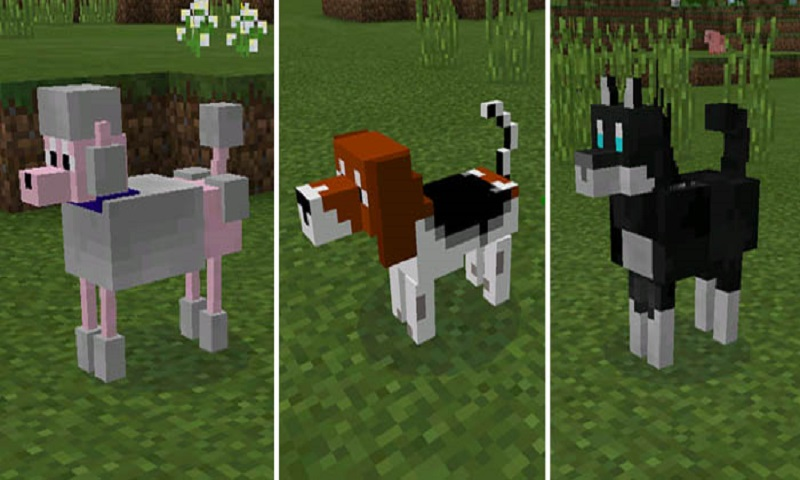 Dogs Mod for MCPE截图3