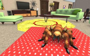 Spider Life: Tarantula House Pet截图3