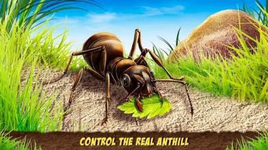 Ant Empire Simulator - Undergrowth Survival截图4