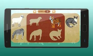 Animals Puzzles for Kids截图5