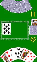 Durak (Fool)截图1