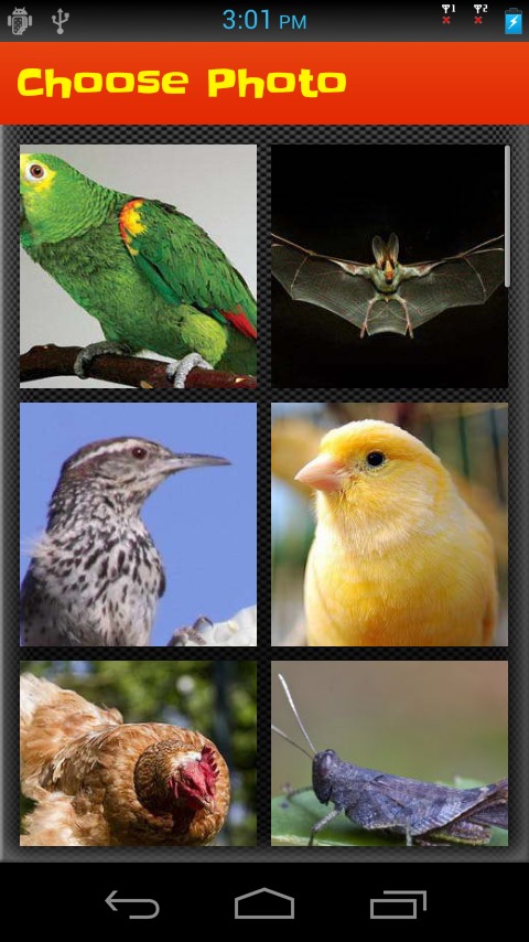 Puzzle Game: Bird Puzzle截图3