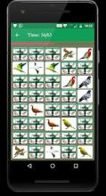 Bird Memory Matching Game截图2