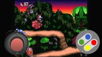 SNES Dnkey Kong Jungle截图2