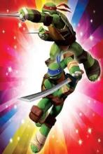 Ninja Turtle : Hero Legends截图5