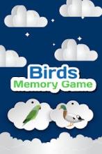 Birds Memory Game截图2