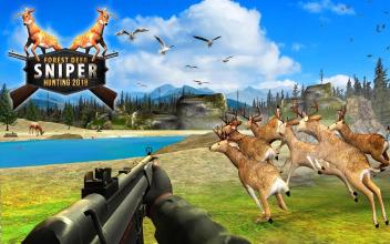 Forest Deer Sniper Hunting 2018截图4