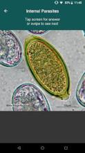 CAPC Internal Parasites ID截图2