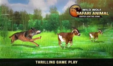 Wild Wolf Safari Animal Sniper Hunting Game截图4