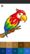 Bird Color By Number: Pixel Art Bird截图4