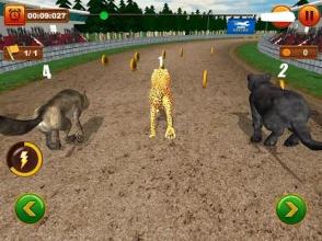 The Animal Racing截图1