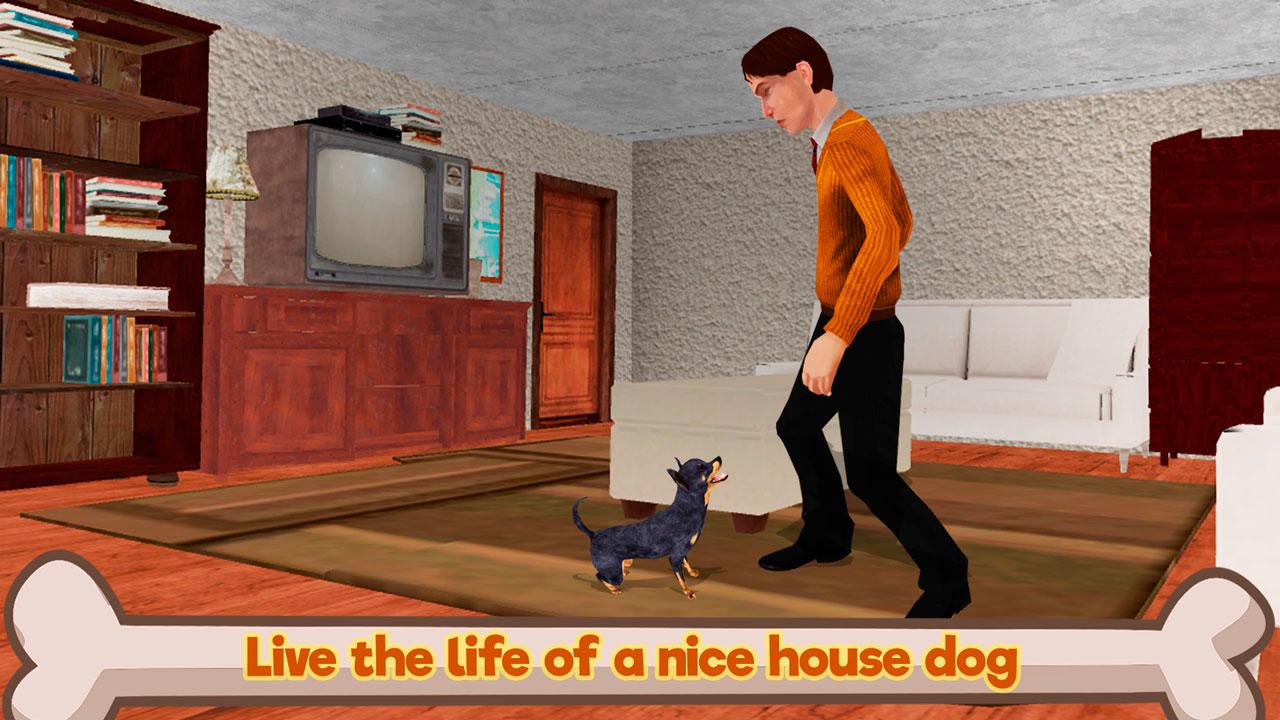 Chihuahua Dog Simulator 3D截图5