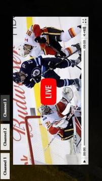 National Hockey League - NHL Live Schedules截图