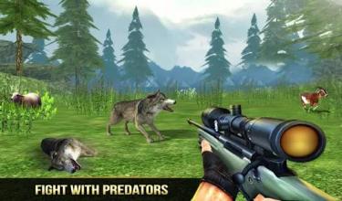 Wild Wolf Safari Animal Sniper Hunting Game截图1