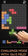 Brick Mosaic - Puzzle Block Game截图2