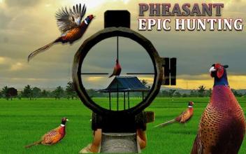 Pheasant Hunting: Archery Birds Hunter 2018截图3