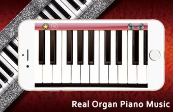 Real Organ Piano Music截图5