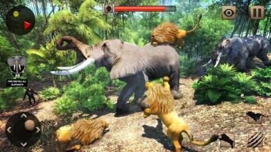 The Lion Simulator 3D: Forest Life of Lion Games截图3