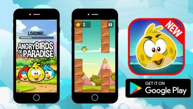 Bird Games : Birds of Paradise are Angry截图5