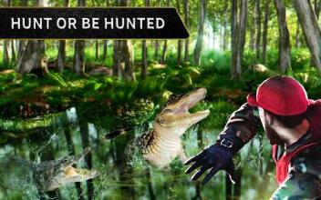 Wild Animal Archery Hunter Bird Shooting Game截图3