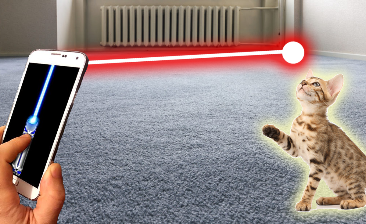 Laser for Cat Prank截图1