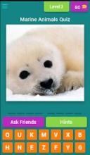 Marine Animals Quiz截图4