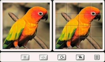 Guess the Bird. Tile Puzzle.截图3