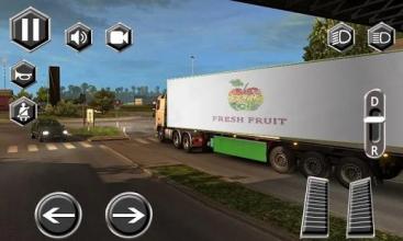 Real Truck Driver Driving Sim 3D截图2