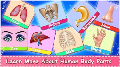 Learn Human Body Parts For Kids截图3