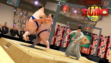 SUMO WRESTLING - GRAND SUMO GAME : REVOLUTION 2K18截图2