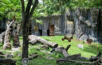 Escape Puzzle: Wildlife Park截图2