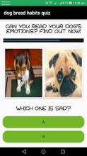 dog breed habits quiz: dog breed habits questions截图2