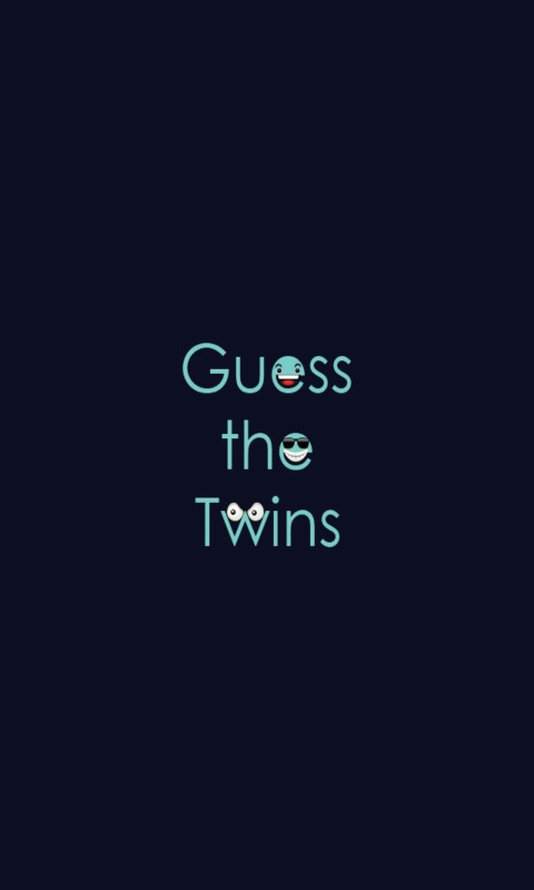 Guess the twins截图1