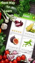 Guess the Vegetable Quiz - Name Games截图2