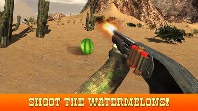 Watermelon Shooter - Shooting Range Master截图2