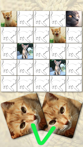 Memory Games free: Cute Cats截图1