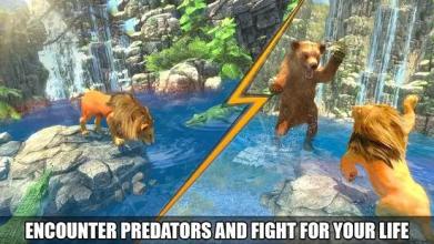 The Lion Simulator 3D: Forest Life of Lion Games截图1