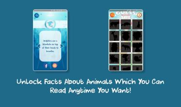 Did You Know Animals截图3