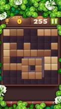 Wood Block Puzzle Master截图3