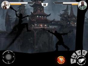 Shadow Combat Fighting: The Sunset Kung Fu Warrior截图2