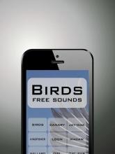 Birds funny sounds free截图1