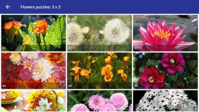 Tile Puzzle: beautiful flowers截图5