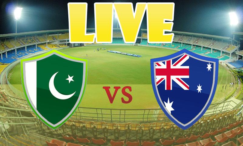 Pak vs Aus Cricket Game Live截图1